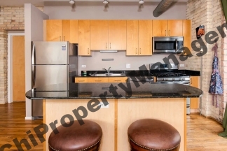 420 S Clinton Street #306A, Chicago, IL 60607