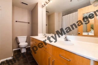 420 S Clinton Street #306A, Chicago, IL 60607