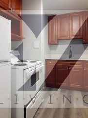 334 Washington Avenue - 210F