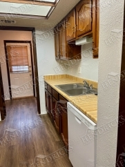 8024 Echo Wind, San Antonio, TX, 78250