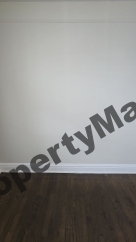 8242 S Houston Avenue #2, Chicago, IL 60617