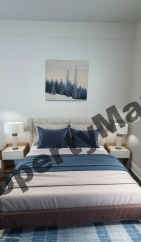 8242 S Houston Avenue #2, Chicago, IL 60617
