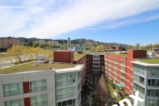 Chic, Urban 1 Bedroom Loft Style Condo at the Eco-Friendly Civic Tower
