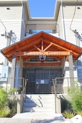 Totally Dialed 1 Bed Apartment in New Courtyard Complex Near Mississippi Ave
