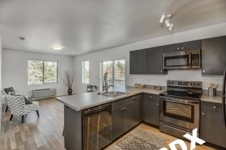 Totally Dialed 1 Bed Apartment in New Courtyard Complex Near Mississippi Ave