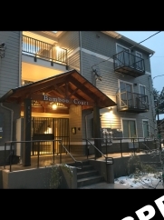 Totally Dialed 1 Bed Apartment in New Courtyard Complex Near Mississippi Ave