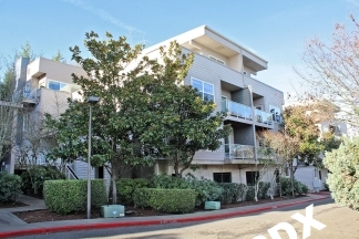 Contemporary Condo in Johns Landing