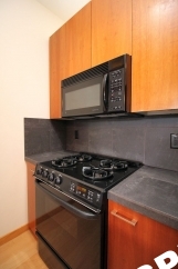 Breathtaking 1 Bedroom Pearl Condo at the Renowned Bridgeport