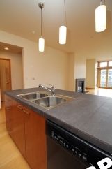 Breathtaking 1 Bedroom Pearl Condo at the Renowned Bridgeport