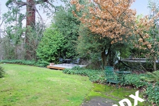 Charming One Bedroom in Historic Victorian Building – Live Among the Treetops!