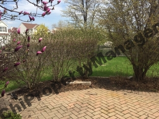 COMING SOON - 844 Violet Circle, Naperville, IL 60540