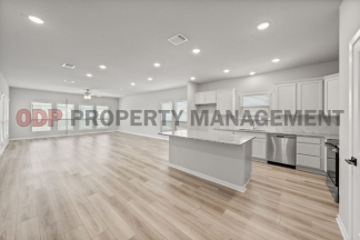 Brand New Home for Rent in North Pointe – Belton ISD!