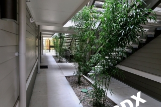 1 Bedroom Top Floor Apartment - Close to Max and Mississippi Ave.