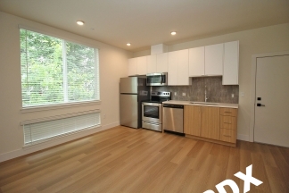 Ground Floor Contemporary 1 Bedroom Apartment - SW Portland