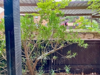 4212 Medical Dr. #401, San Antonio, TX, 78229