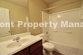 Beautiful 3 bedroom in NE San Antonio!