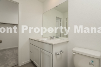 Charming 3-Bed Oasis at 3206 Gingham Point – Spacious 1260 Sq Ft with 2 Full Baths in Converse, TX!
