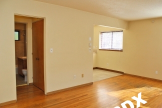 Lovely 1 Bedroom Apartment with Fireplace in Ideal NW PDX Location