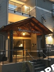 Totally Dialed 1 Bed Apartment in Newer Courtyard Complex Near Mississippi Ave - Here is the link to schedule a tour: showdigs.co/z5BEWa