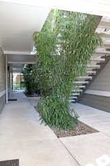 Totally Dialed 1 Bed Apartment in Newer Courtyard Complex Near Mississippi Ave - Here is the link to schedule a tour: showdigs.co/z5BEWa
