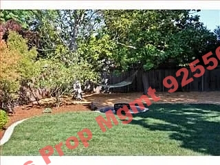 Elegant 5-Bedroom Oasis with 4 Luxurious Baths in Prime Palo Alto Location!