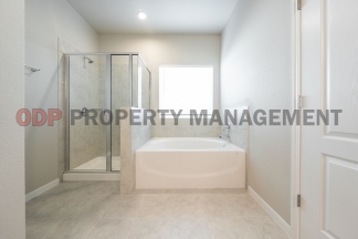 Stunning 4-Bedroom Home in Villages of Westfield