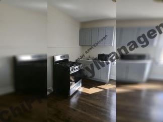 8242 S Houston Ave # 2, Chicago, IL, 60617-