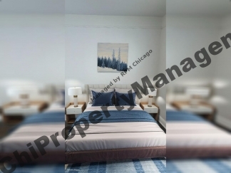 8242 S Houston Ave # 2, Chicago, IL, 60617-