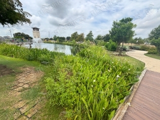 8512 Murray Grey, San Antonio, TX, 78254