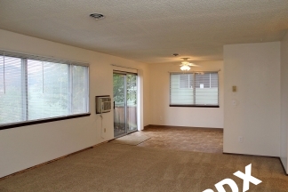 2nd Floor Freshly Updated 2-Bedroom Unit in Updated Brooklyn Triplex!