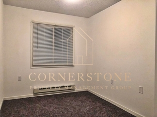 2 bedroom remodeled apartment in Webster City $695