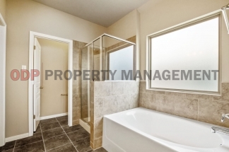 3 Bedroom Home in Wyndham Hills (Academy ISD)!