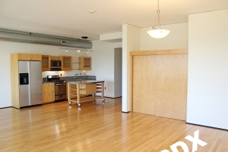~1000 sq ft Stunning Loft-Style Studio Unit at The Elizabeth