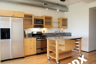 ~1000 sq ft Stunning Loft-Style Studio Unit at The Elizabeth