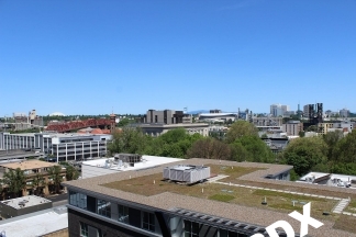 ~1000 sq ft Stunning Loft-Style Studio Unit at The Elizabeth