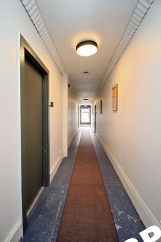 1 mo FREE!! Newly Renovated 1 Bedroom in Historic Mississippi Lush Bank Lofts Building
