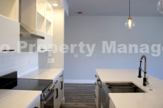 Modern 1-Bedroom Oasis in Bentonville with Abundant Light