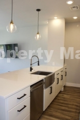 Modern 1-Bedroom Oasis in Bentonville with Abundant Light