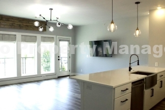 Modern 1-Bedroom Oasis in Bentonville with Abundant Light