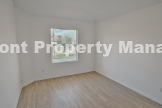 Beautiful New 4 bedroom in Converse!