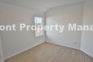 Beautiful New 4 bedroom in Converse!