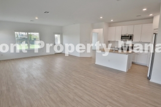 Beautiful New 4 bedroom in Converse!