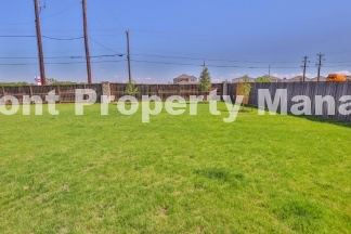 Beautiful New 4 bedroom in Converse!