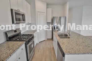 Beautiful New 4 bedroom in Converse!