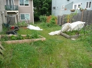 Close In SE 2 Bedroom Apartment Home near SE Division and Reed College