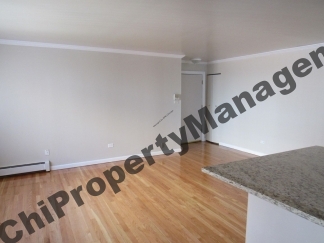 417 S Kenilworth Avenue Apt 8, Oak Park, IL 60302