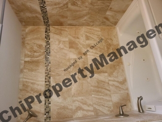 417 S Kenilworth Avenue Apt 8, Oak Park, IL 60302