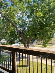 427 Natalen Ave, San Antonio, TX, 78209