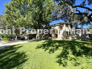 Gorgeous Four Bedroom, Two & Half Bath Home in Braun Oaks Community!