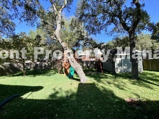 Gorgeous Four Bedroom, Two & Half Bath Home in Braun Oaks Community!